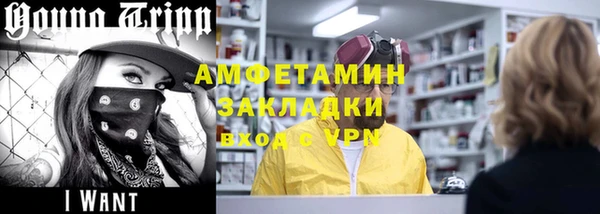 индика Алзамай