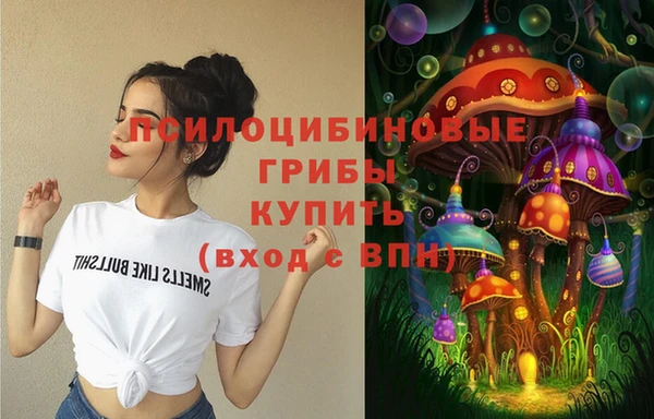 индика Алзамай