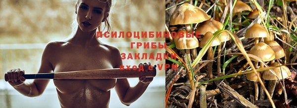 индика Алзамай
