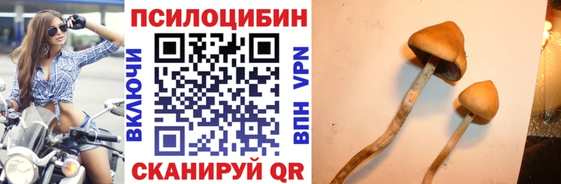 Купить  Слюдянка  Псилоцибиновые грибы мицелий 